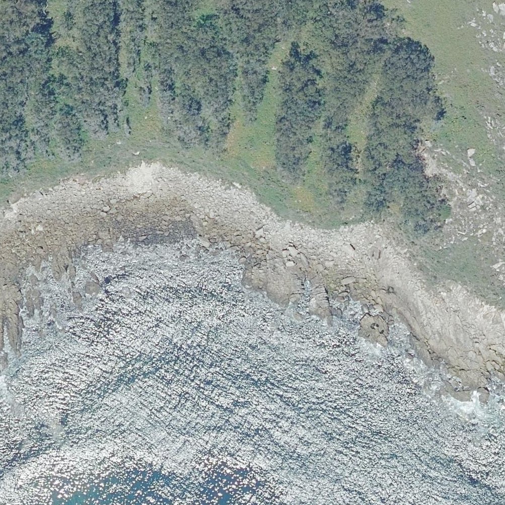 Aerial map of A Area Vella