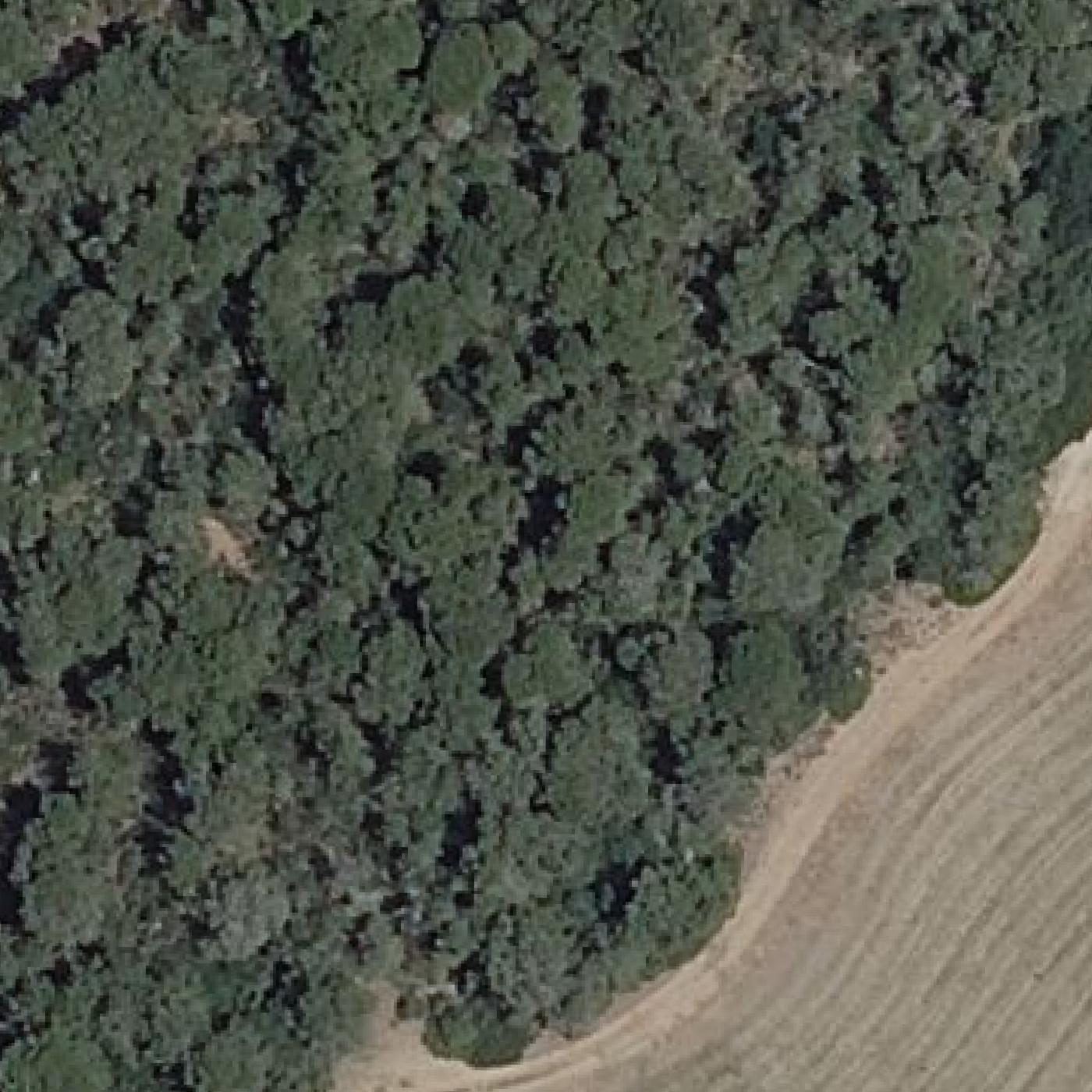 Aerial map of Arenal Castell