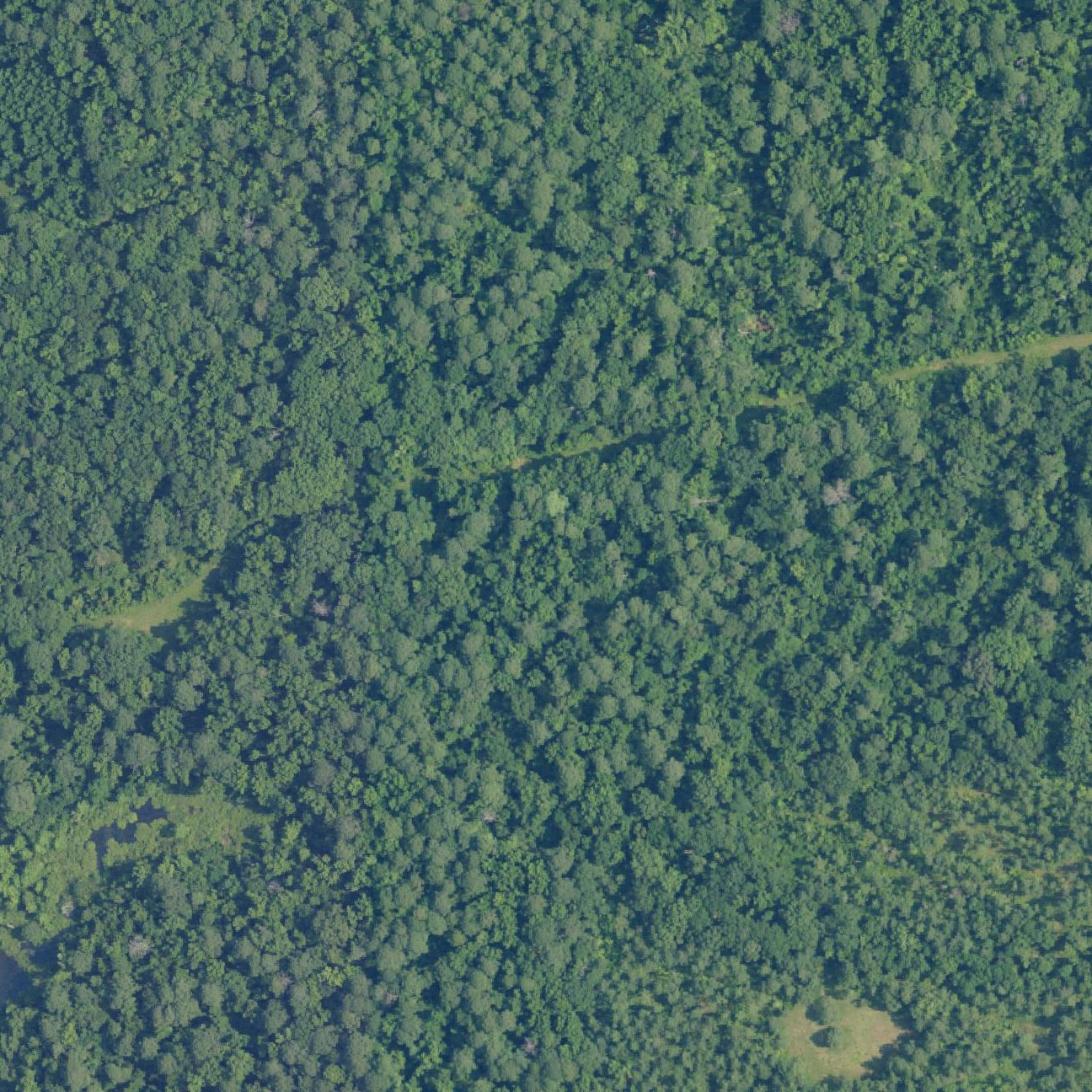 Aerial map of Barton's Beach on the Cahaba