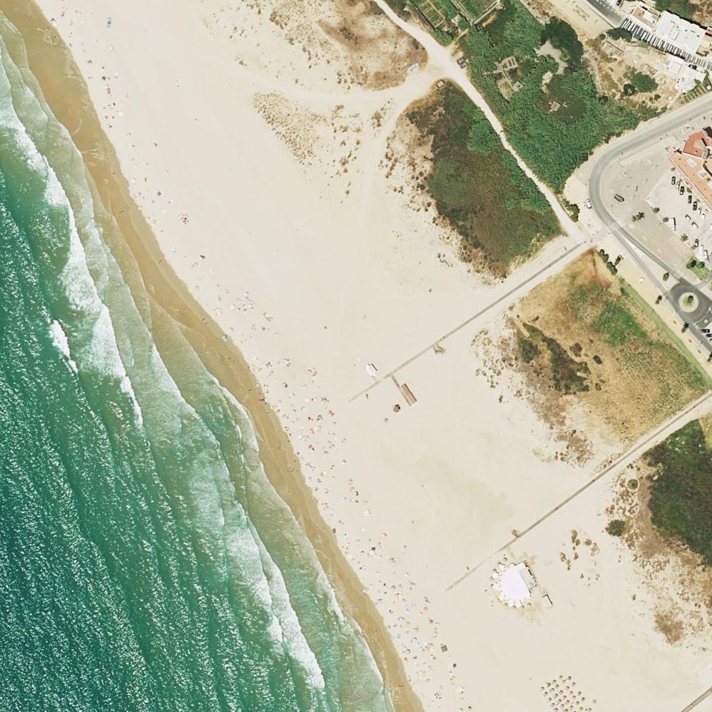 Aerial map of Beach Cats Colony