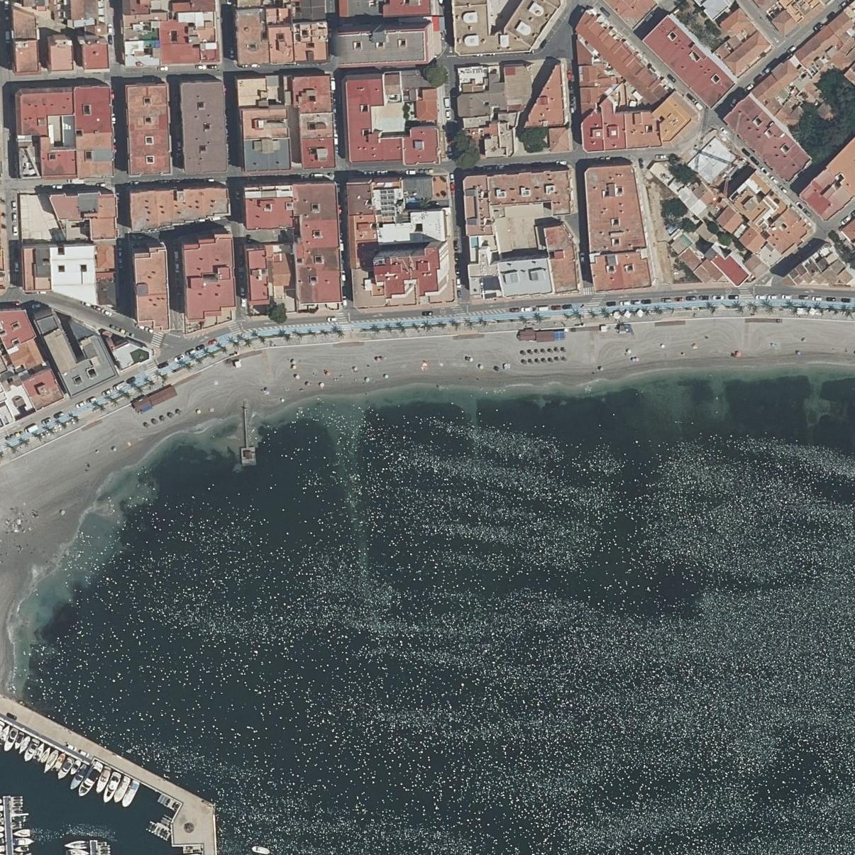 Aerial map of Beach Villananitos