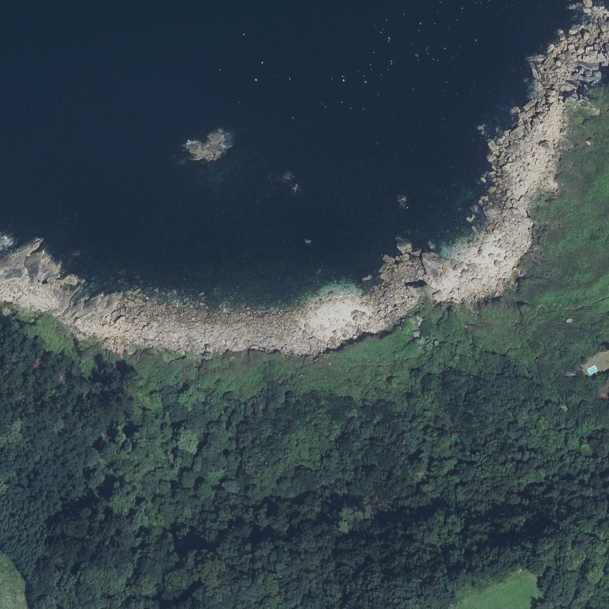 Aerial map of Biosalbi