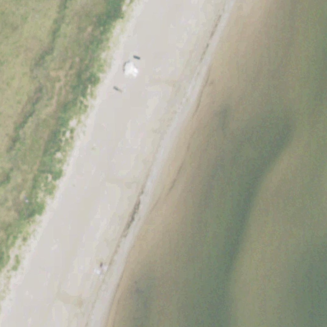 Aerial map of Bolivar Flats