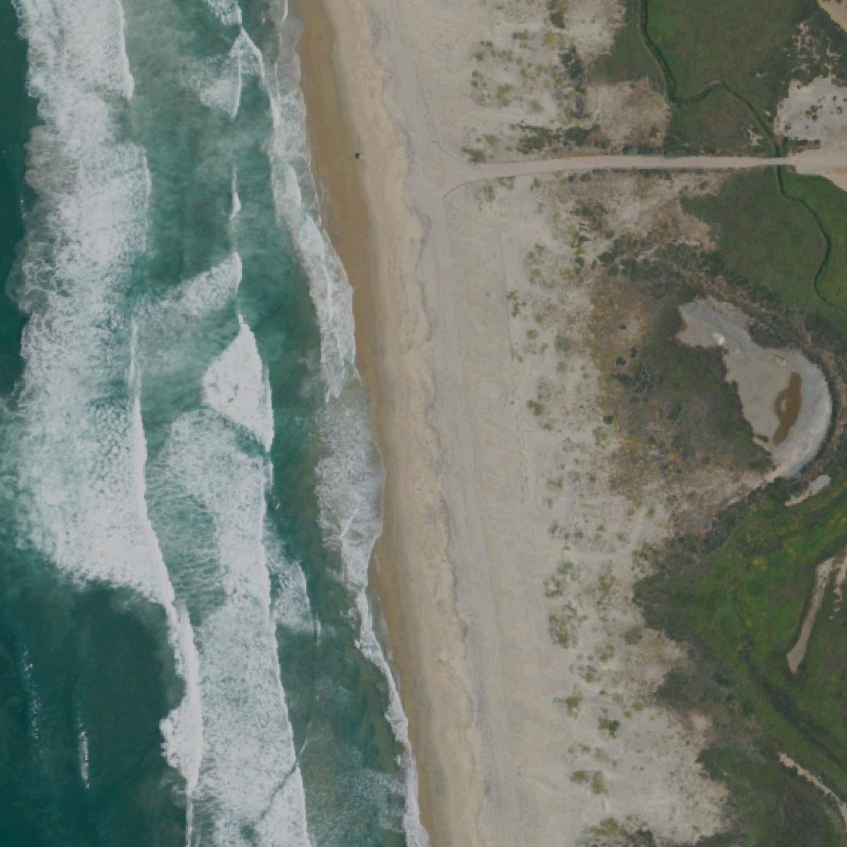 Aerial map of Border Field State Park Beach