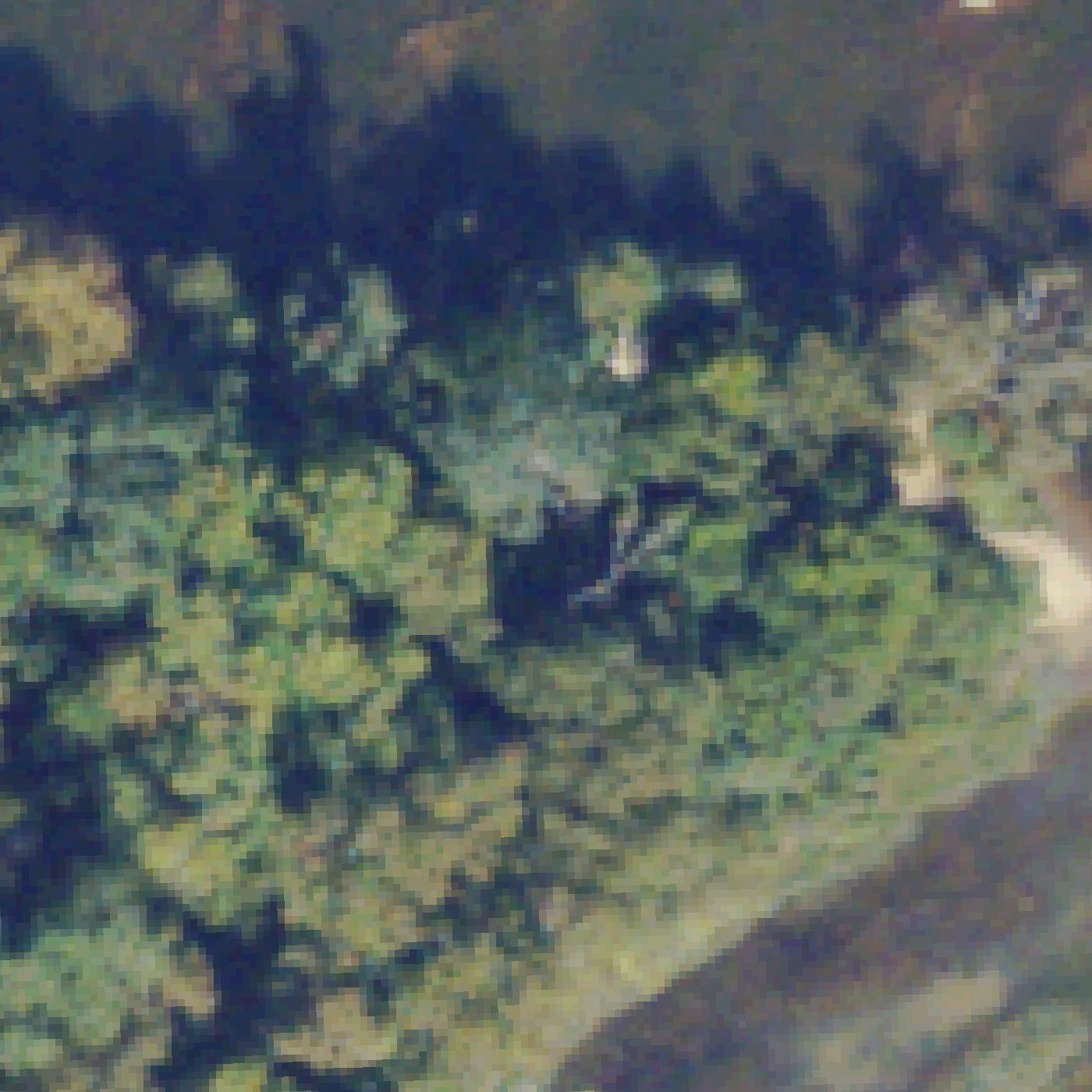 Aerial map of Bourdain's Beach