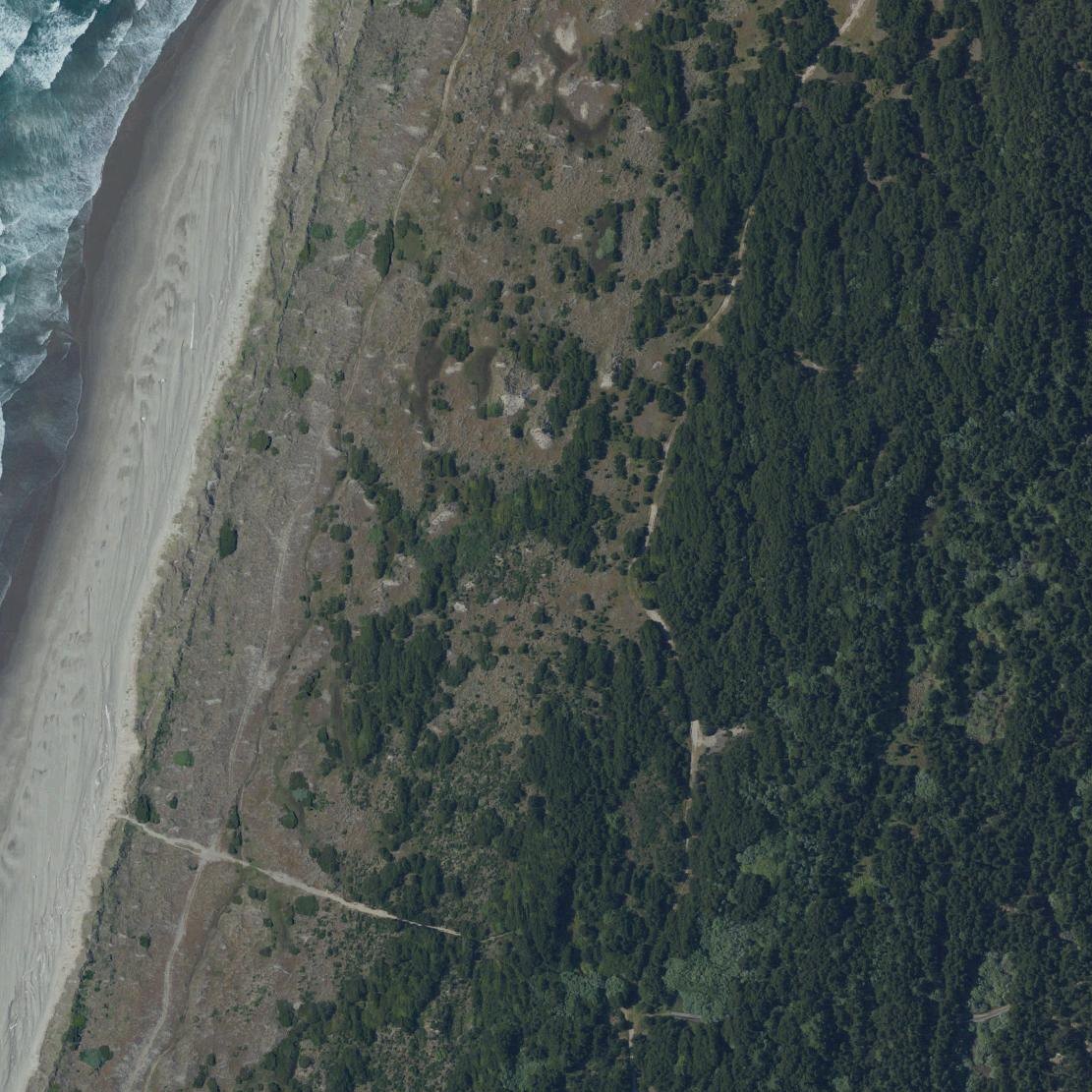 Aerial map of Bullards Beach State Park