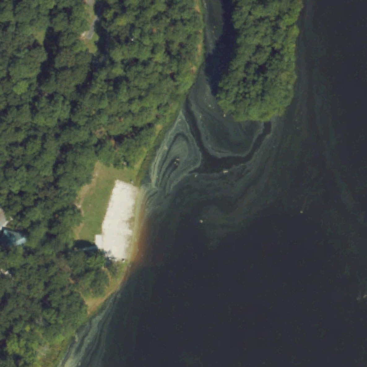 Aerial map of Cabin Lake Park Swim Beach