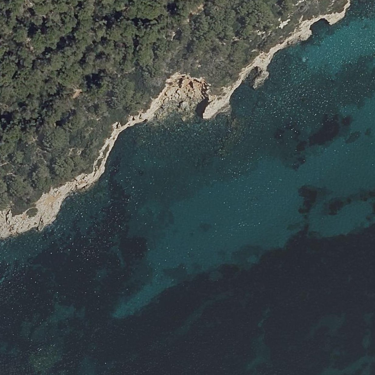 Aerial map of Cala Niu Llorc