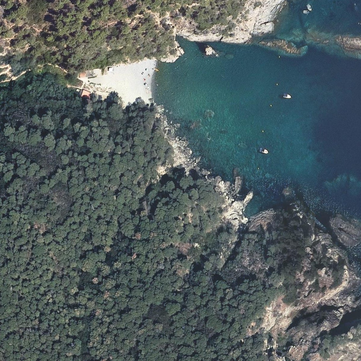 Aerial map of Cala Pedrosa