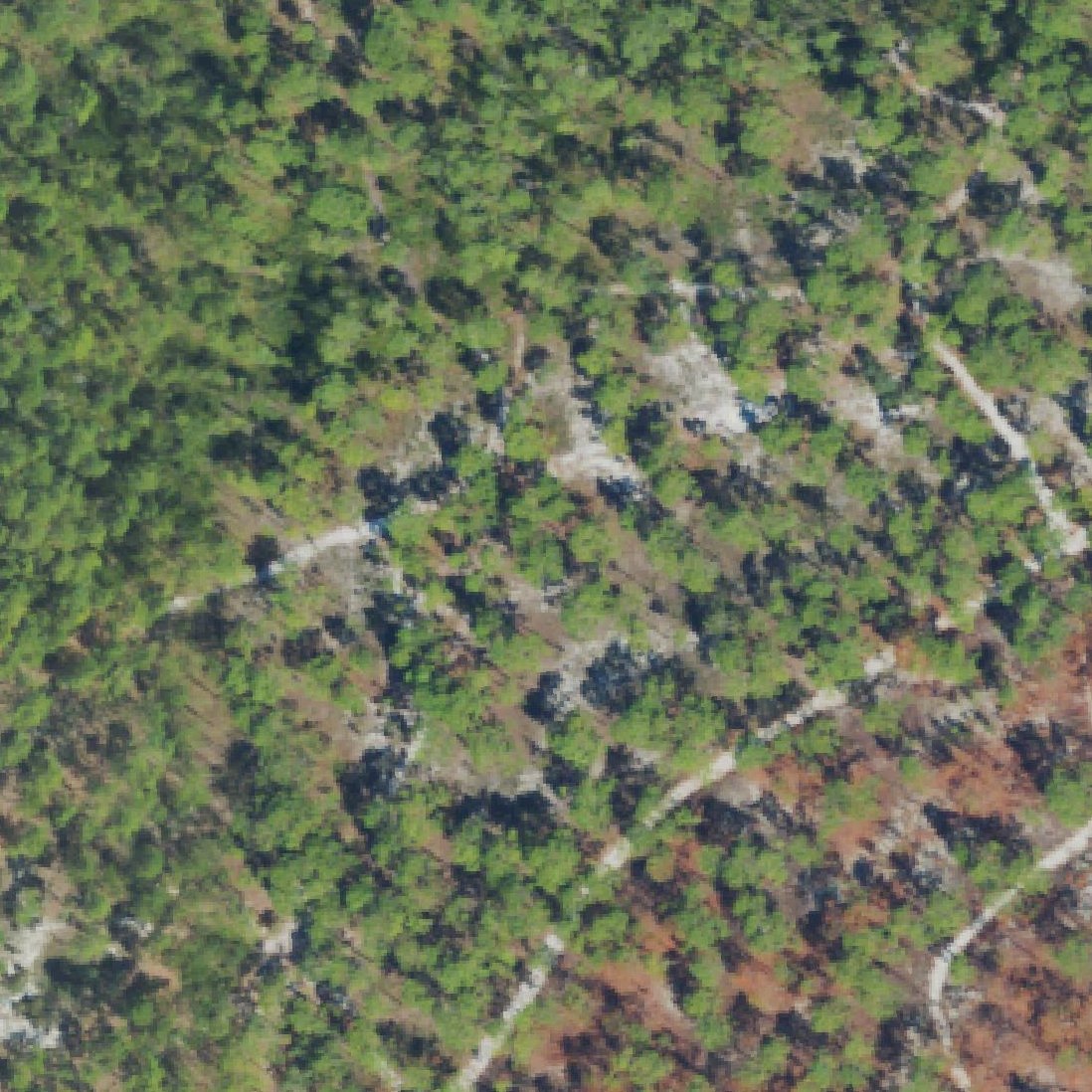 Aerial map of Carolina Beach State Park