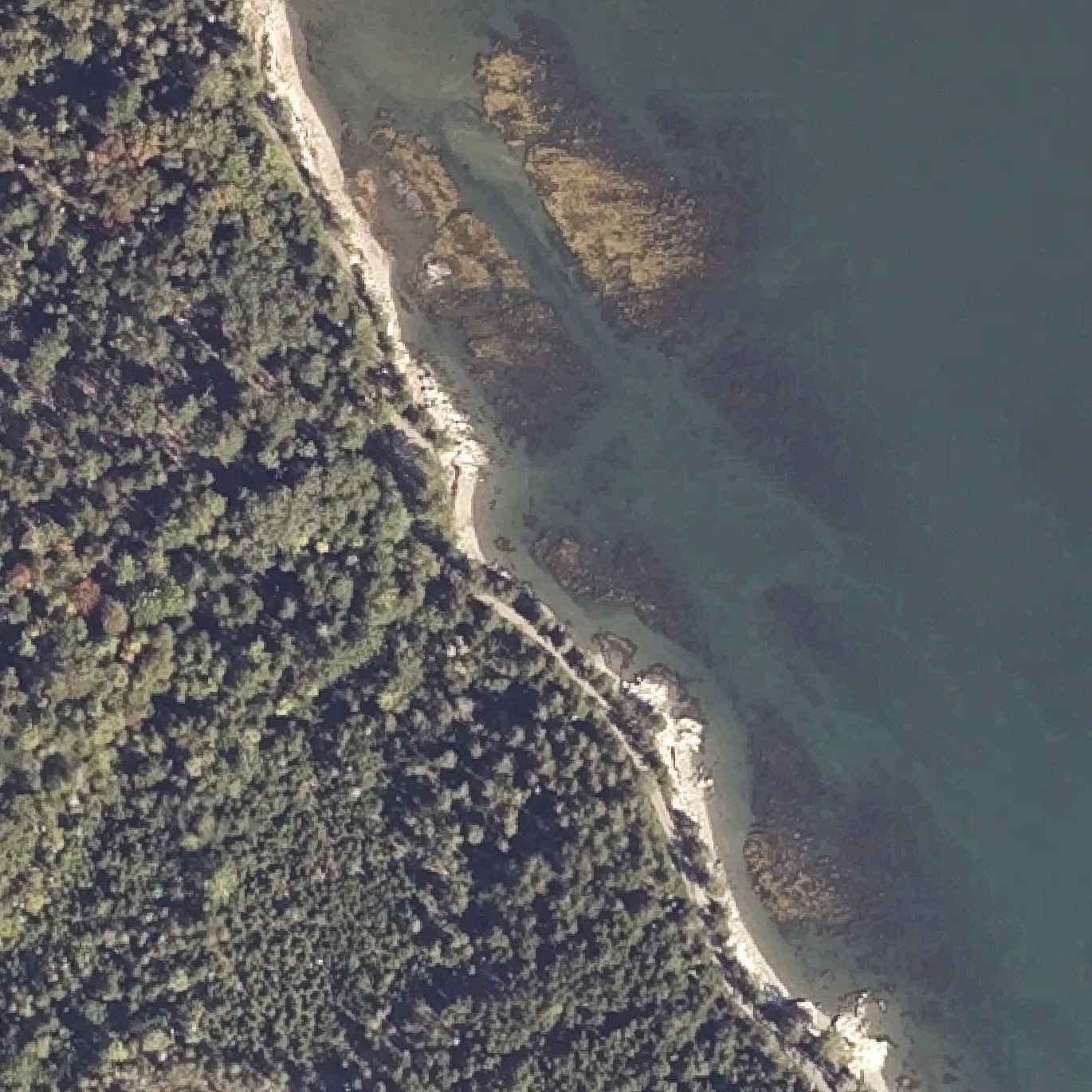 Aerial map of Carter's Beach