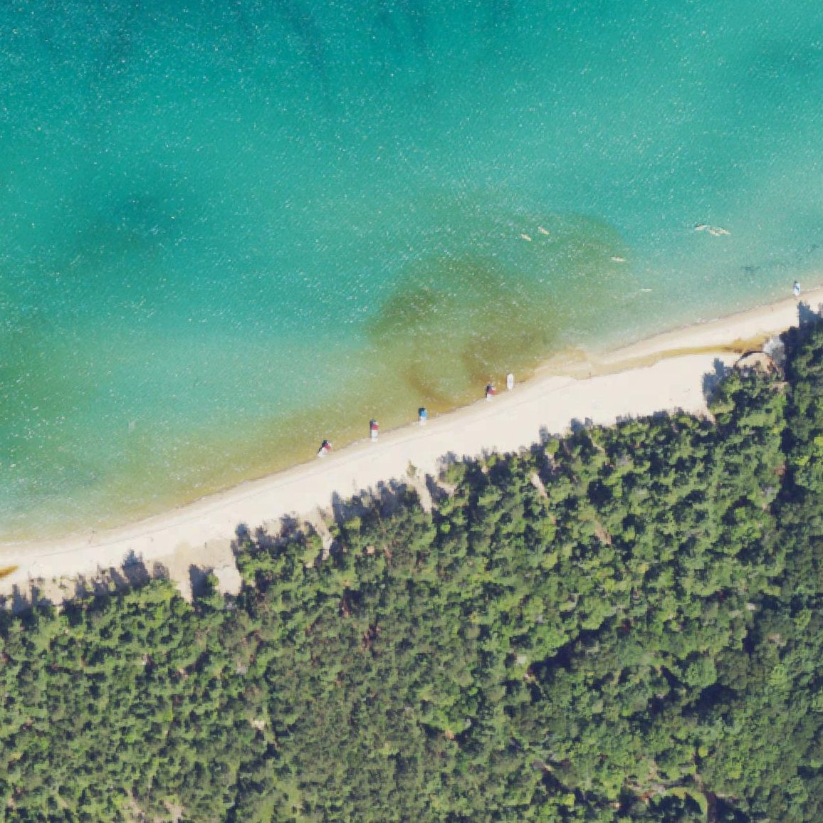 Aerial map of Chapel Beach