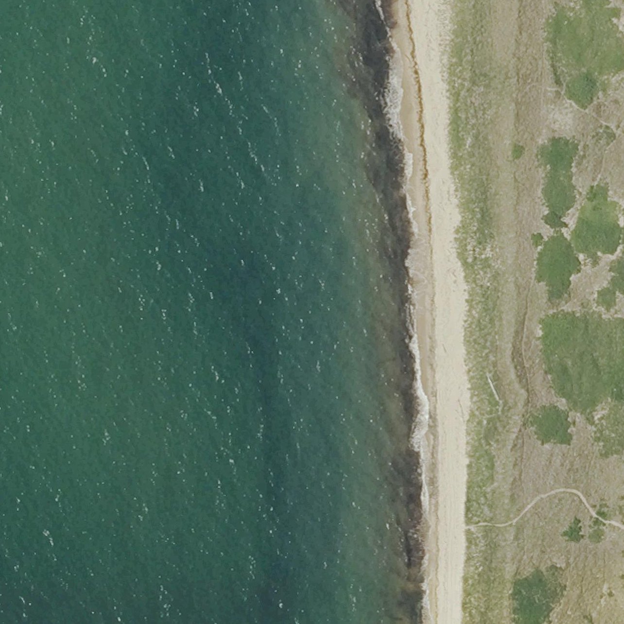Aerial map of Charleston Beach