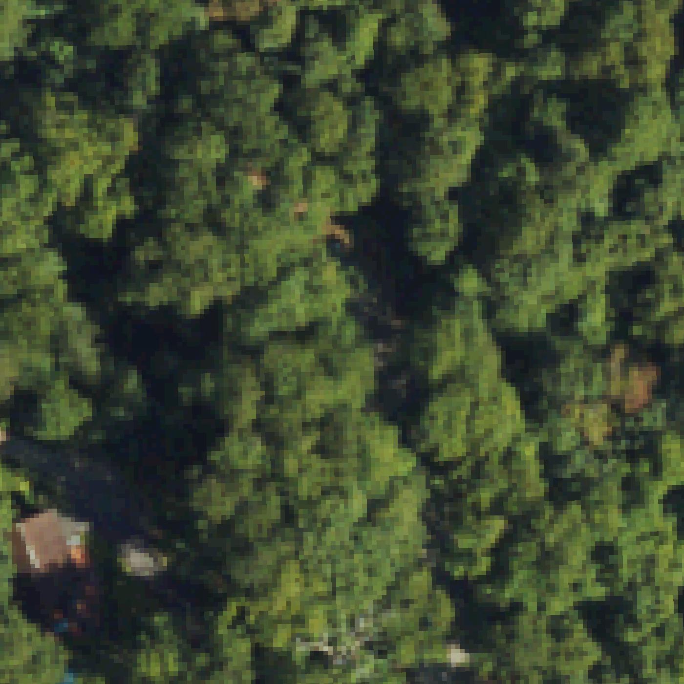 Aerial map of Collier Cove Nature Preserve
