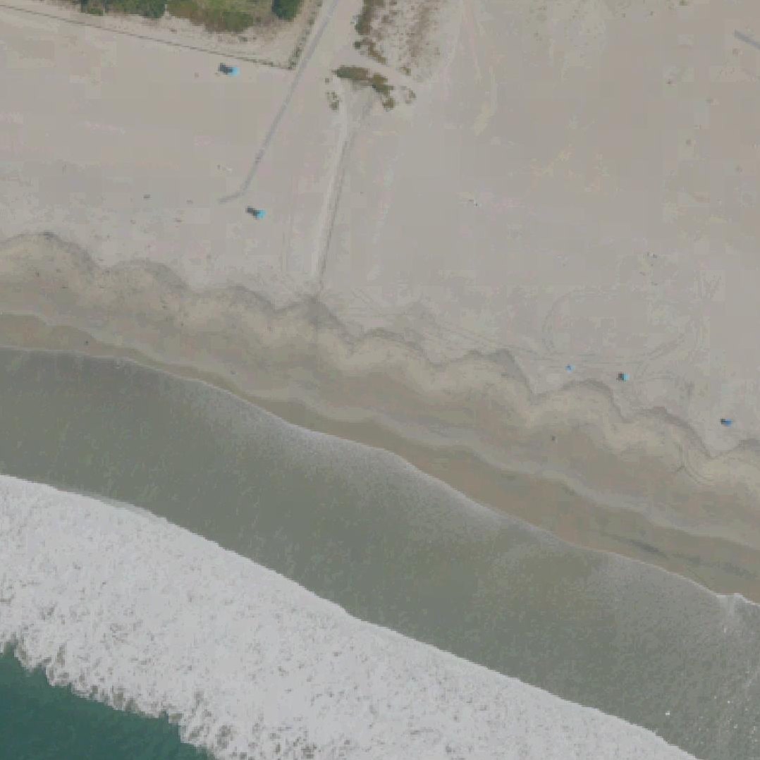 Aerial map of Coronado Dog Beach