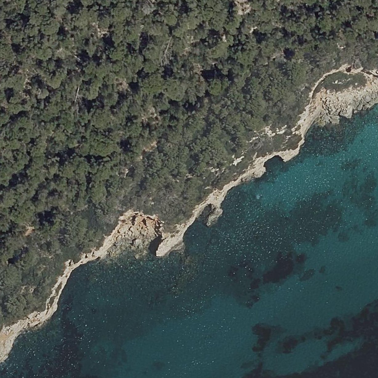Aerial map of Cova De Cala Niu Llorc