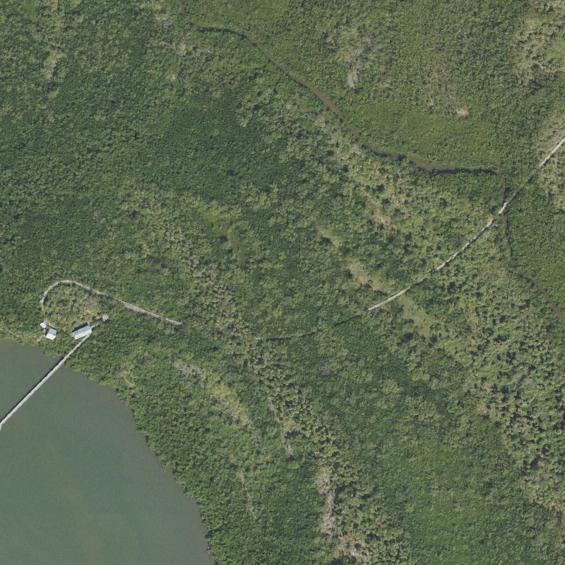Aerial map of Cove Road Park