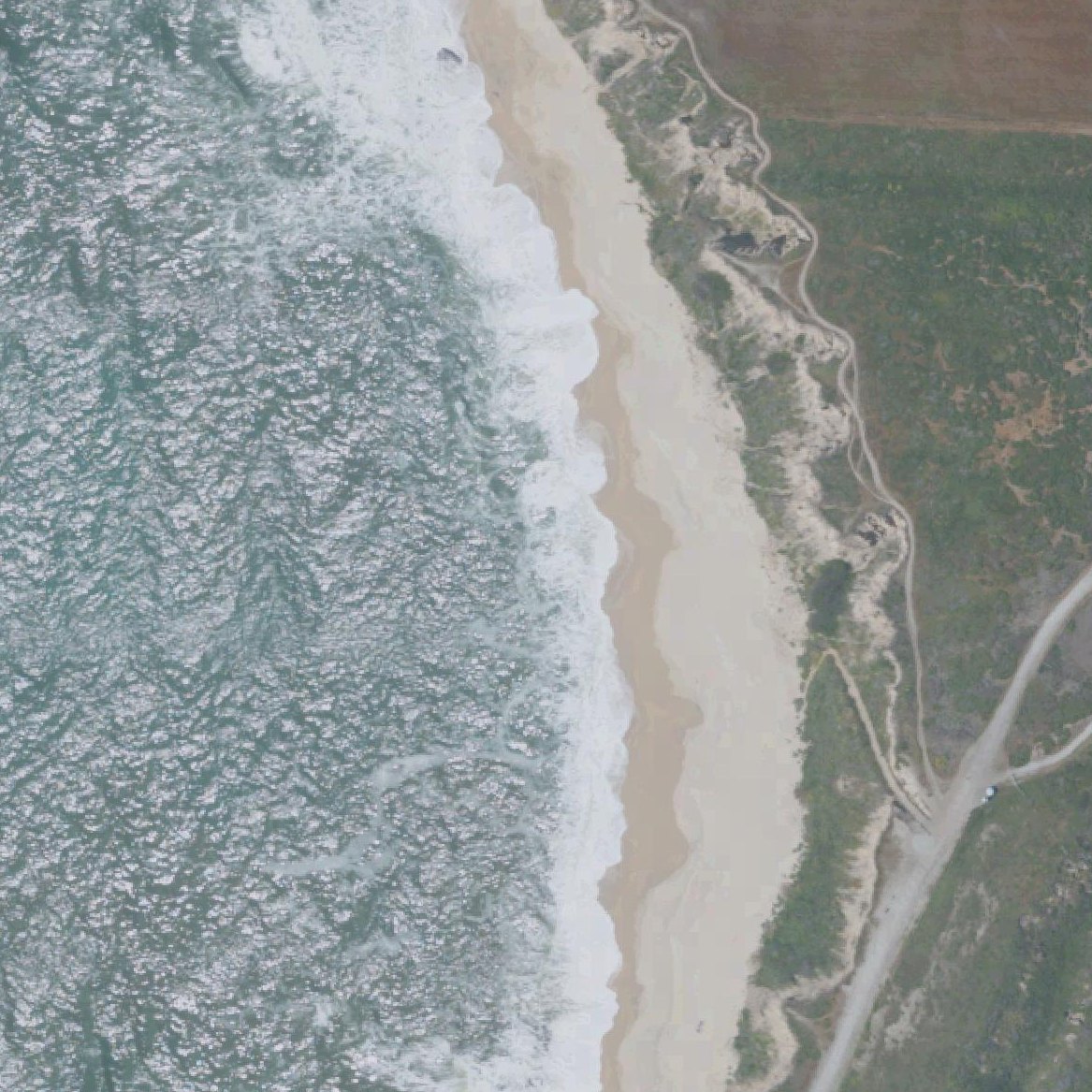 Aerial map of Cowell Ranch Beach