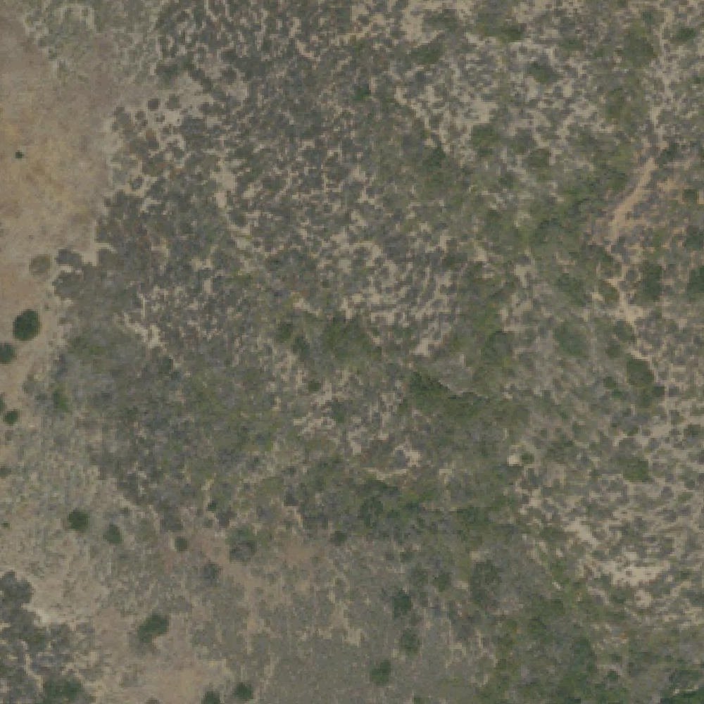 Aerial map of Crystal Cove State Park