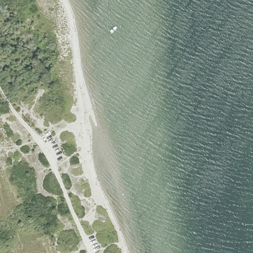 Aerial map of Dog Beach