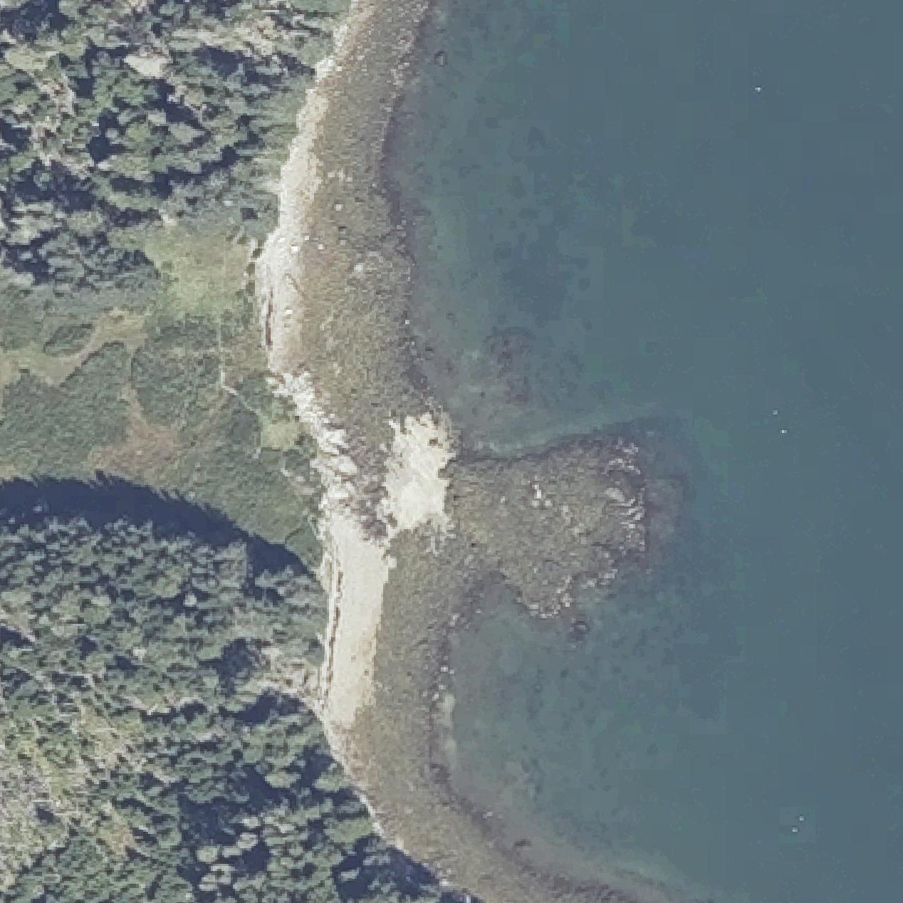 Aerial map of East Cove
