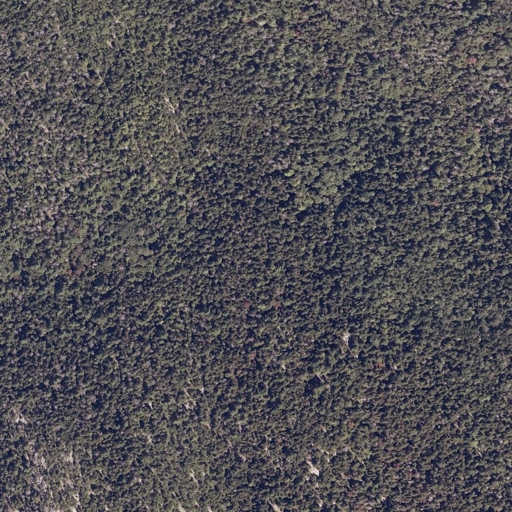 Aerial map of Echo Lake Beach