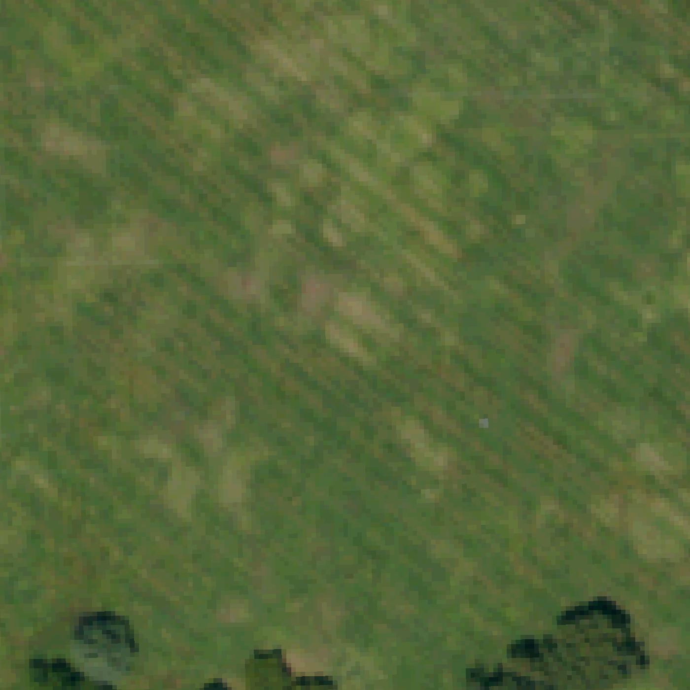 Aerial map of Emerald Cove Park