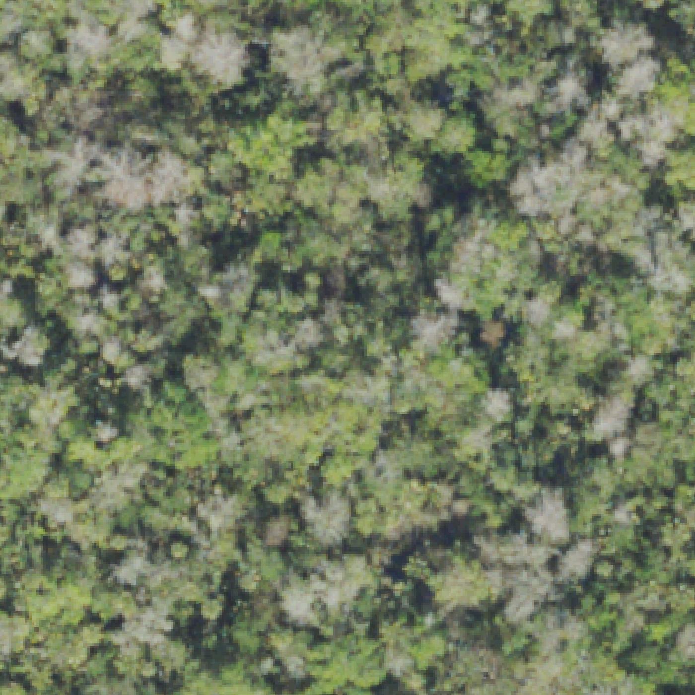 Aerial map of Fakahatchee Strand Preserve State Park