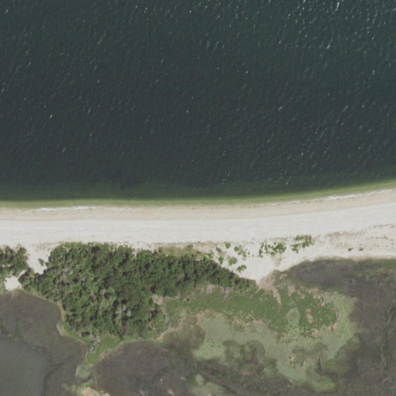 Aerial map of Flax Pond Beach