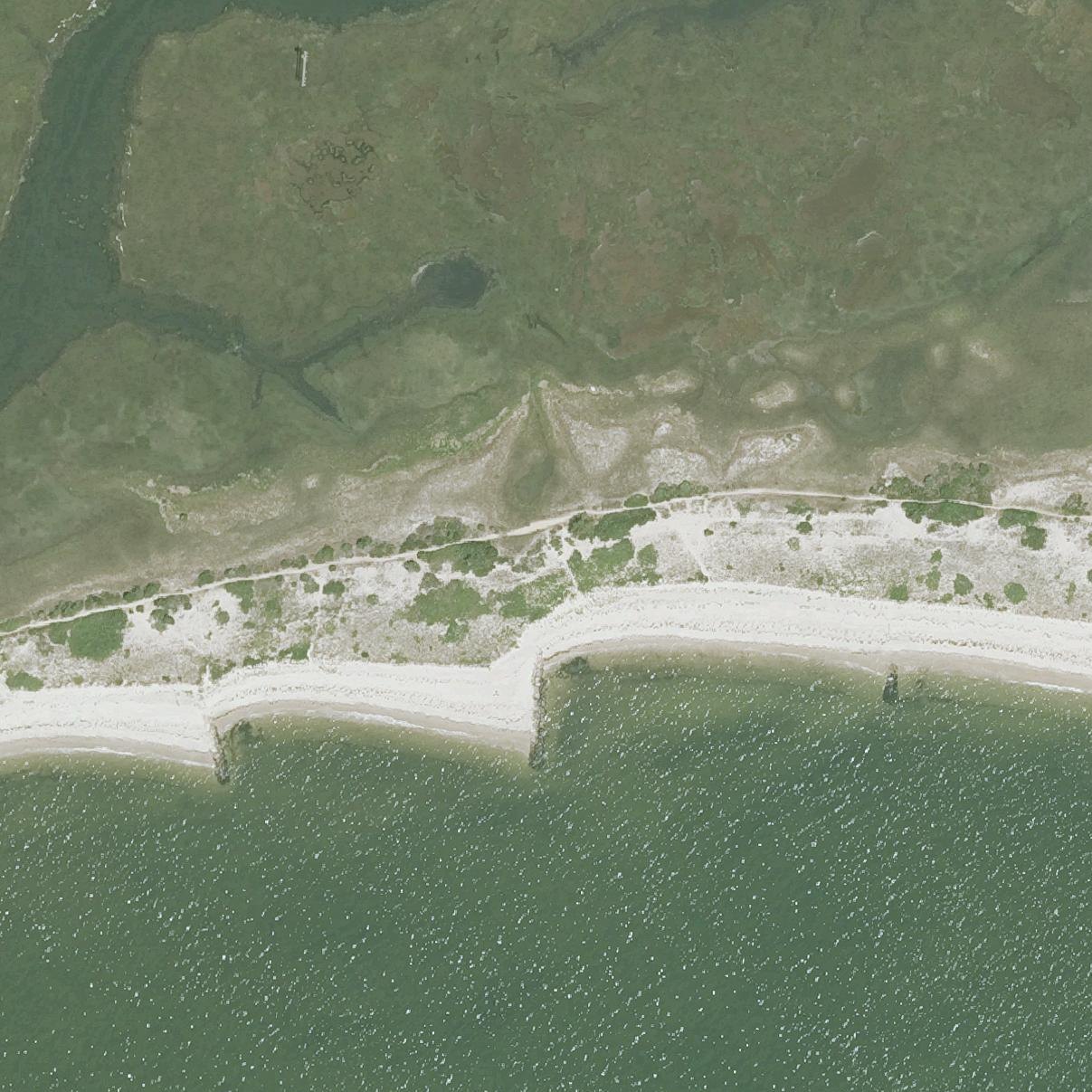 Aerial map of Forest Beach Conservation Area