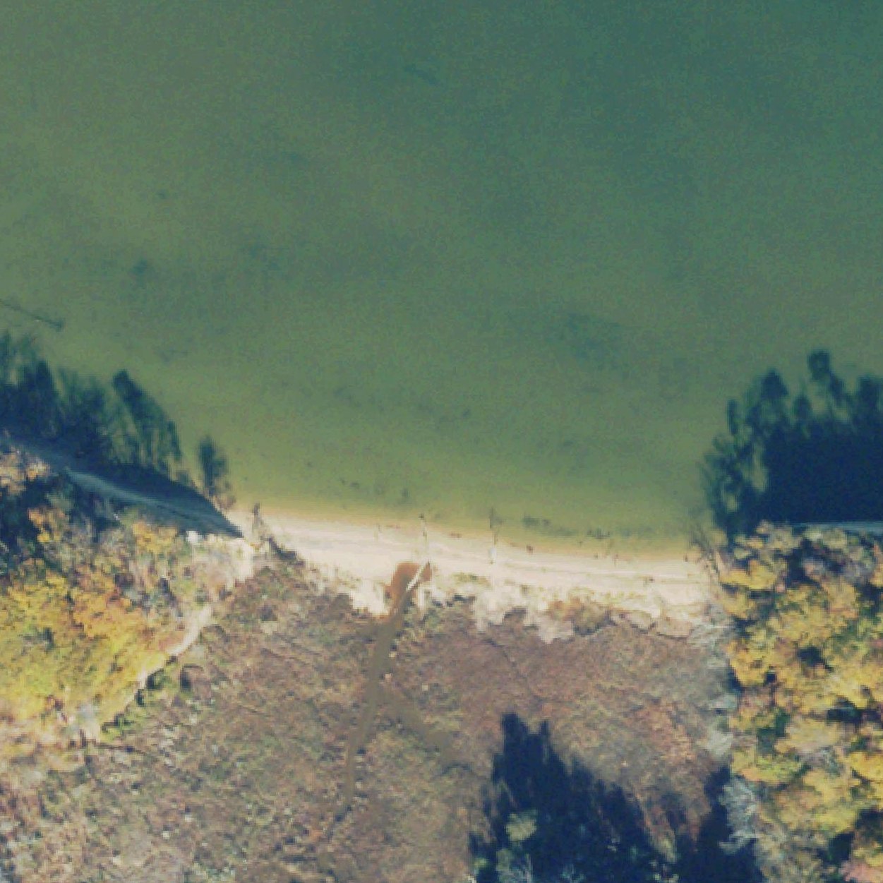 Aerial map of Fossil Beach