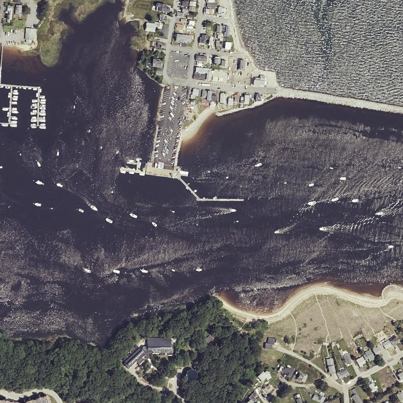 Aerial map of Freddy Beach