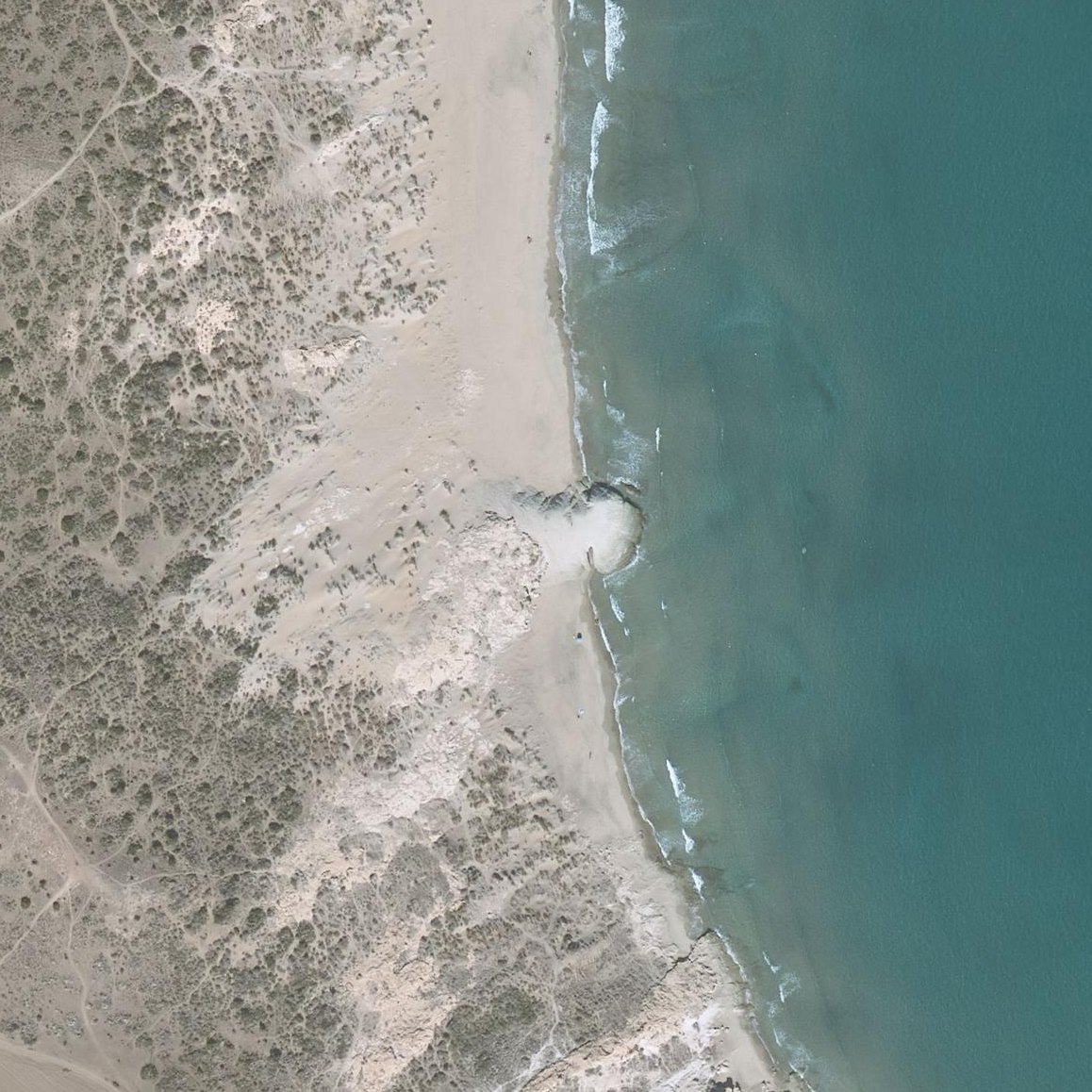 Aerial map of Genovese Beach Fossilised Dune