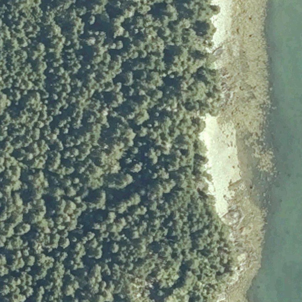 Aerial map of Georgie Beach
