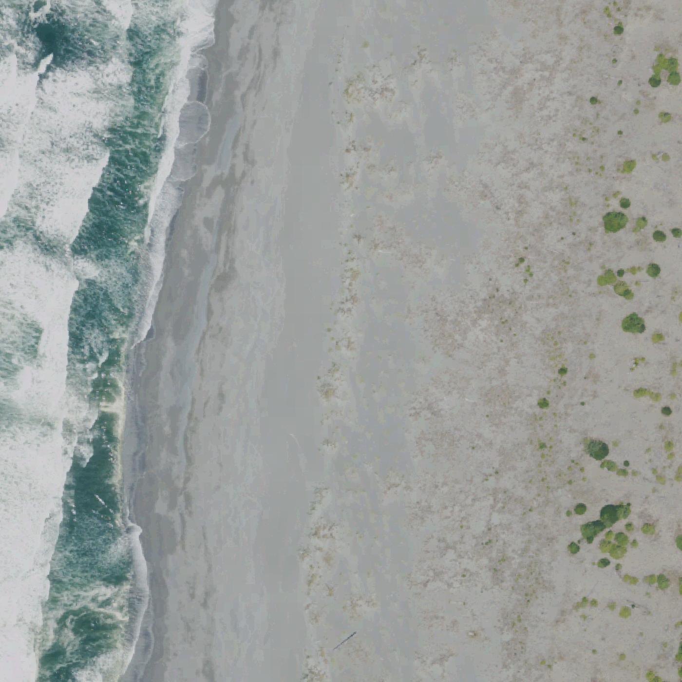 Aerial map of Gold Bluffs Beach