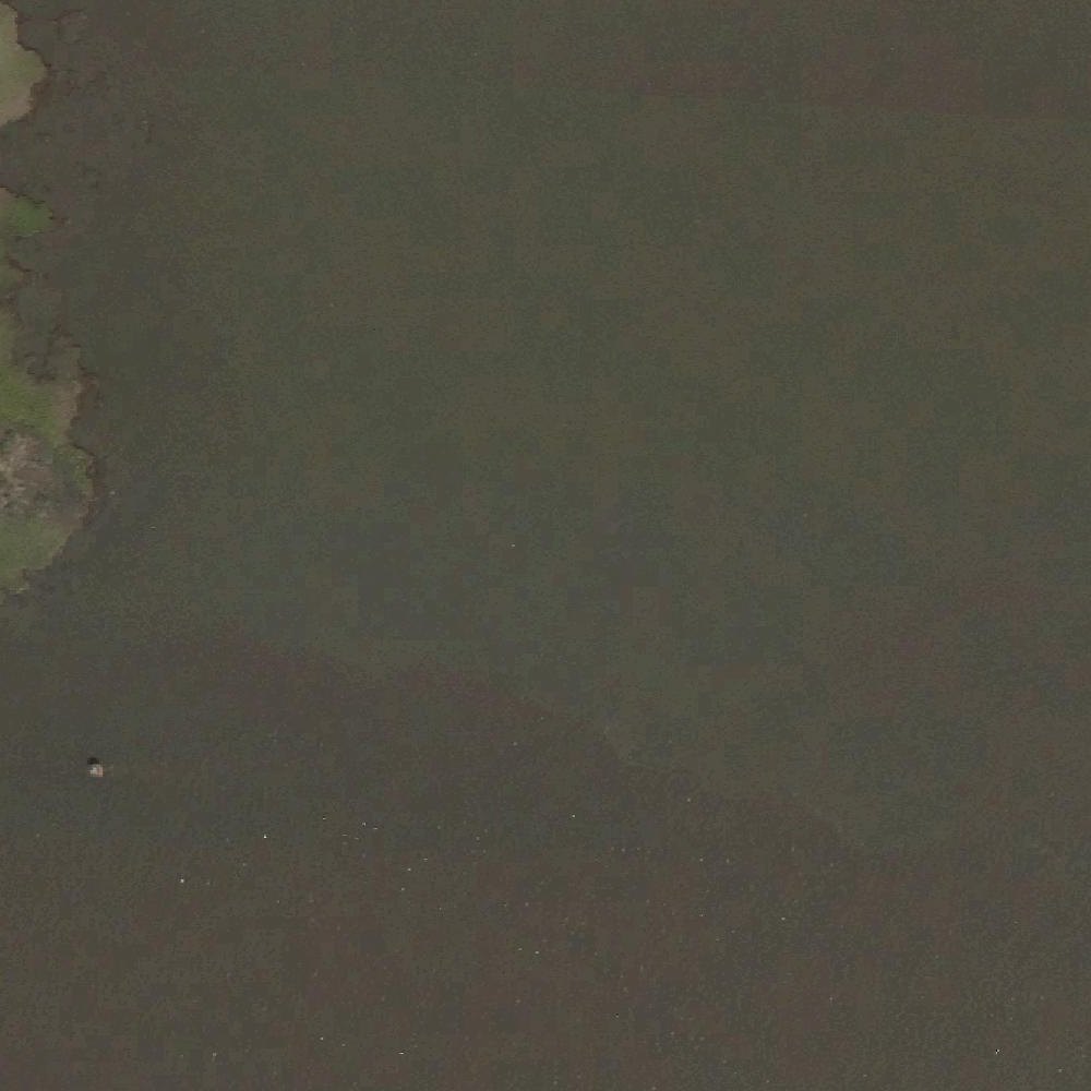 Aerial map of Goose Point