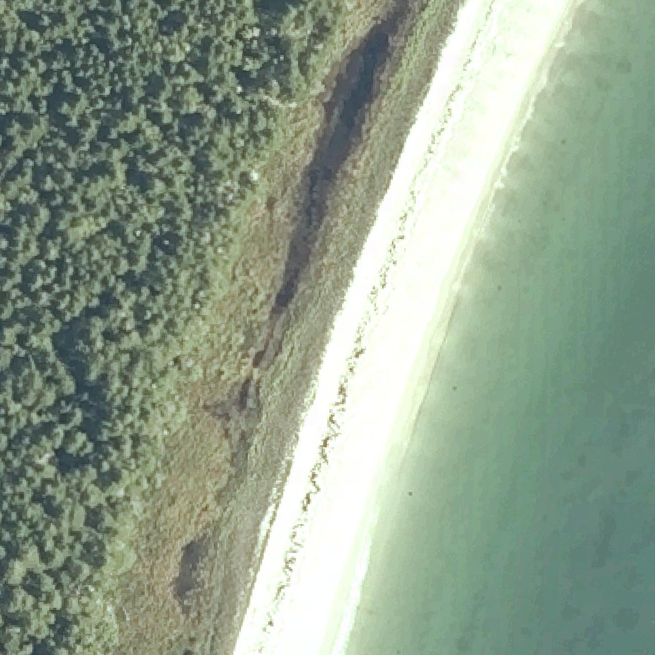 Aerial map of Great Beach
