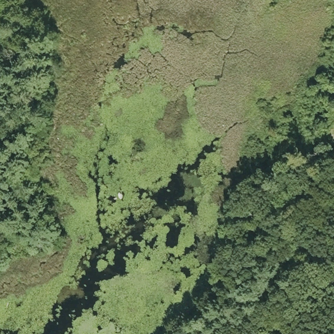 Aerial map of Harvard Town Beach