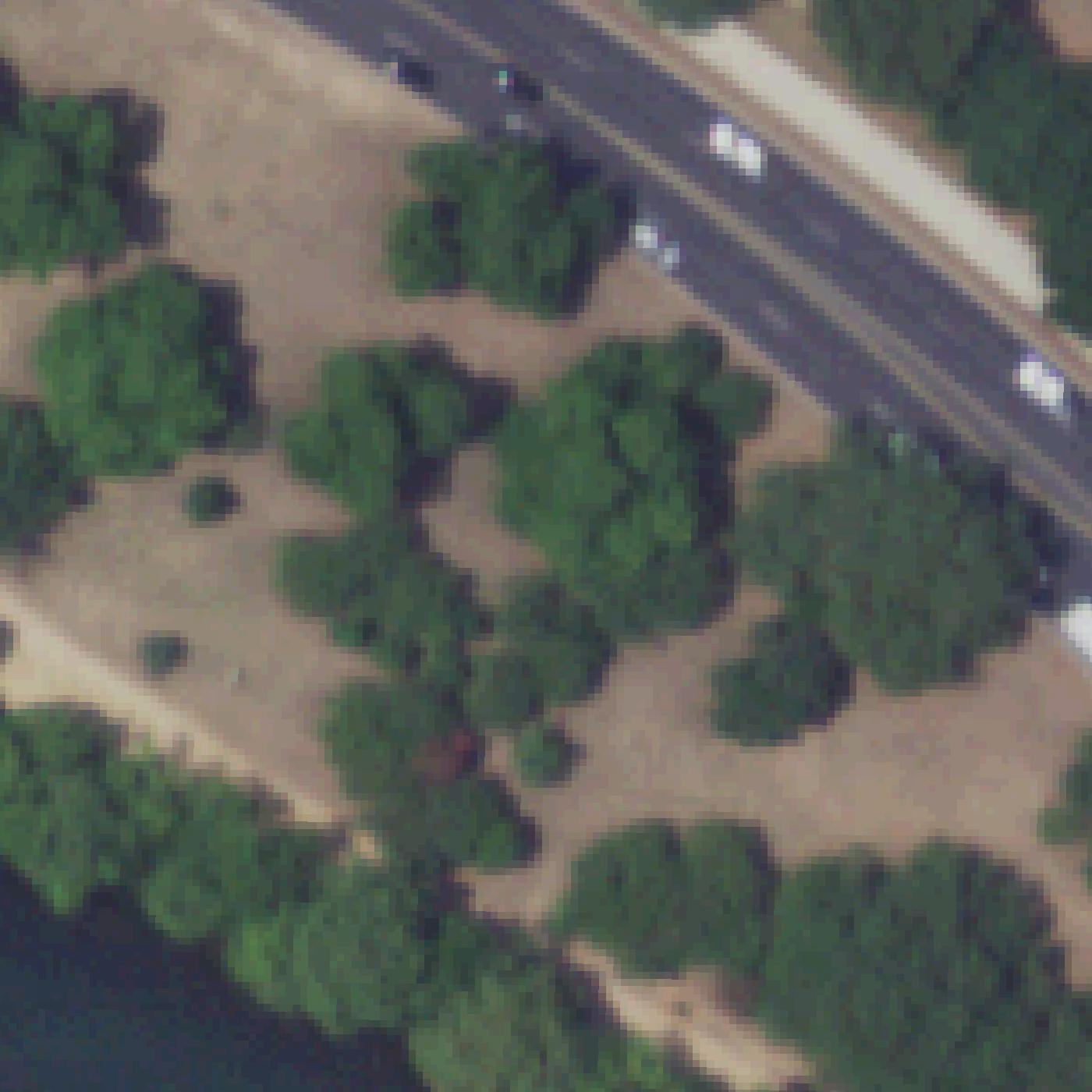Aerial map of Ladybird Lake-Lamar Beach Metro Park