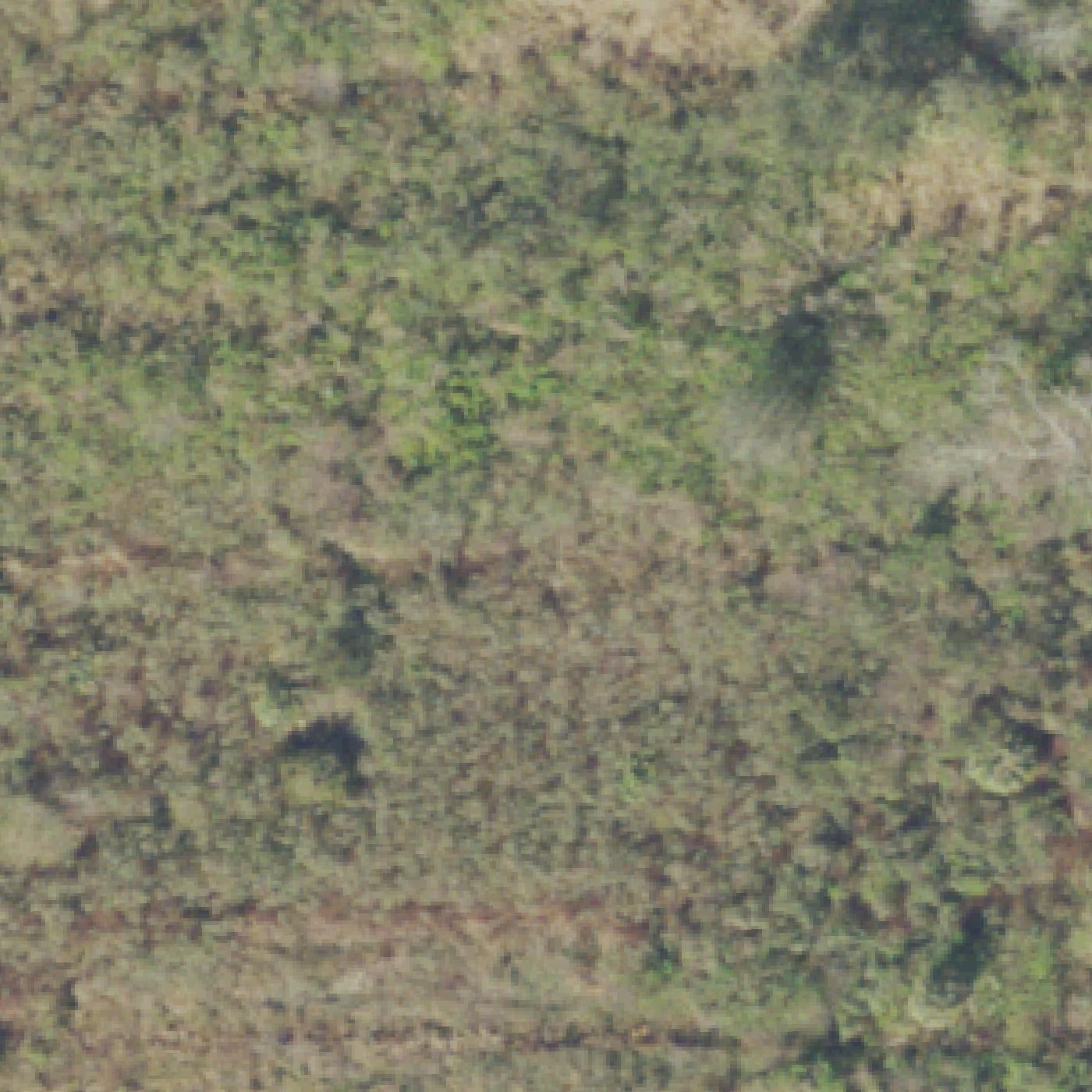 Aerial map of Lake Apopka North Shore