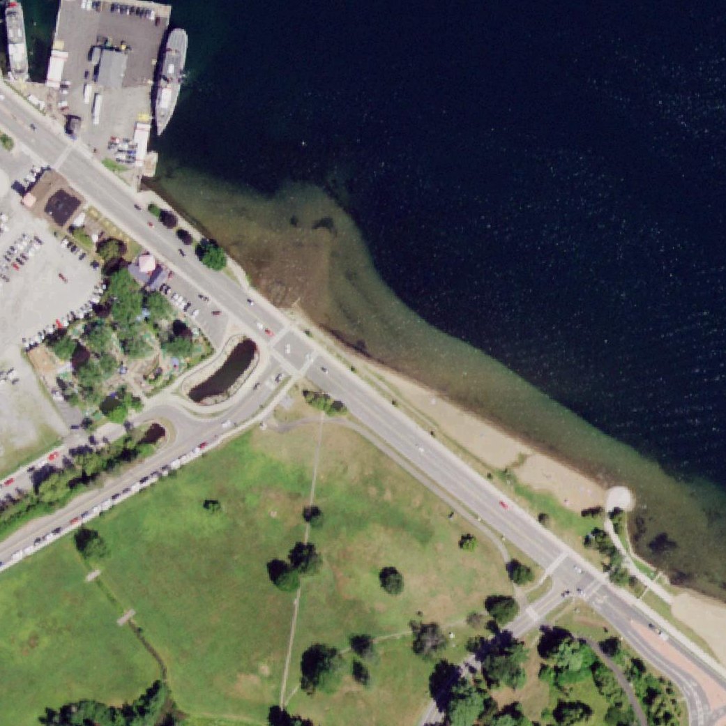 Aerial map of Lake George Dog Beach