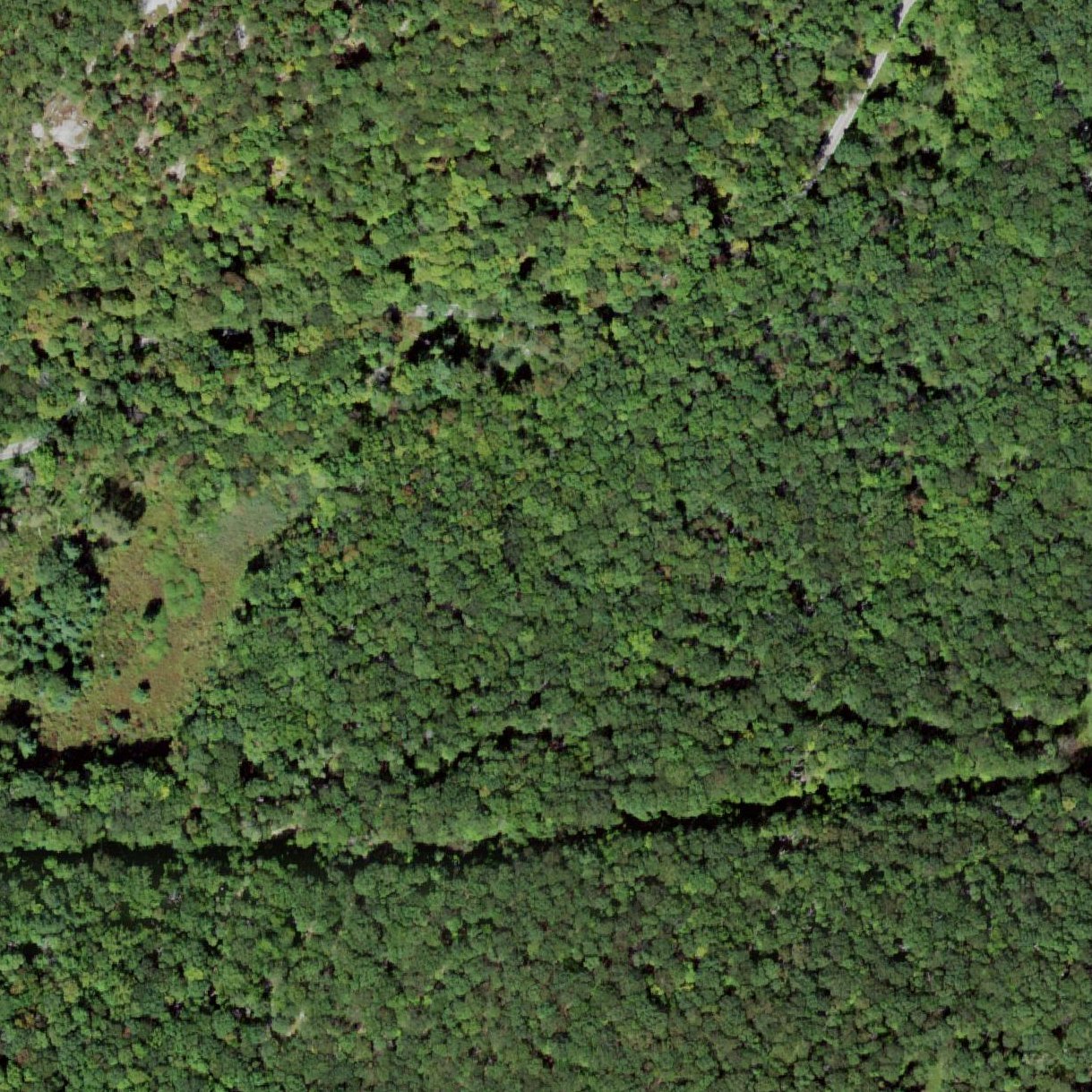 Aerial map of Lake Tiorati Beach