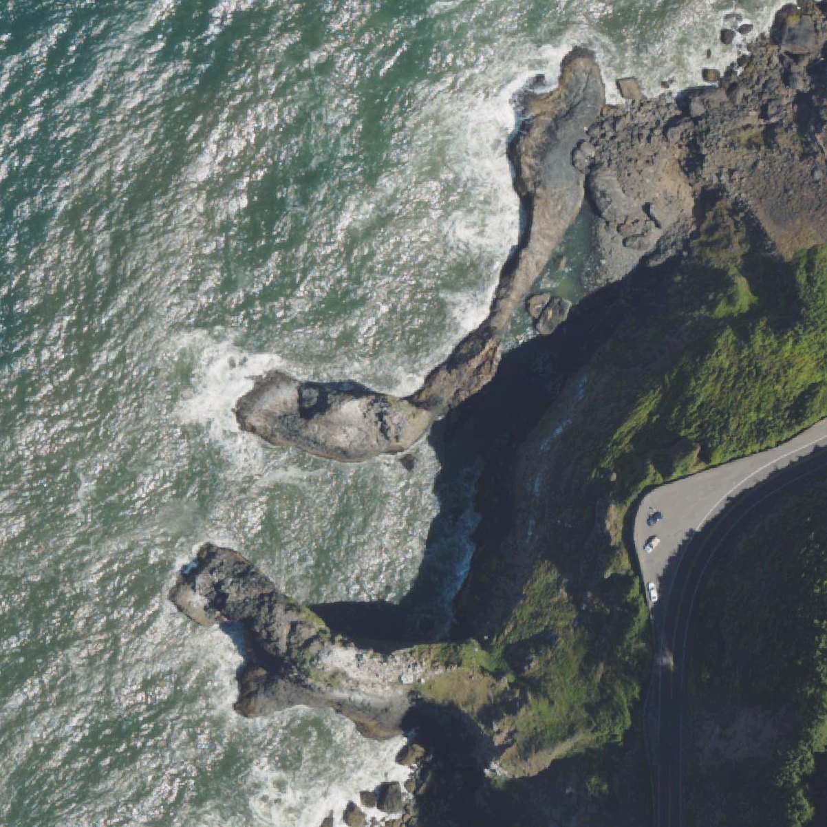 Aerial map of Lighthouse and Sealion Beach Vantage Point