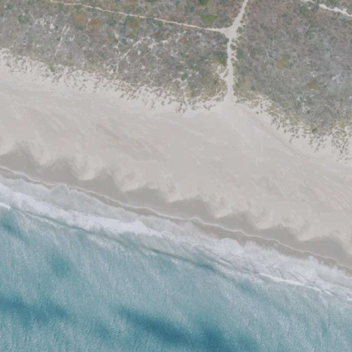 Aerial map of Limantour Beach