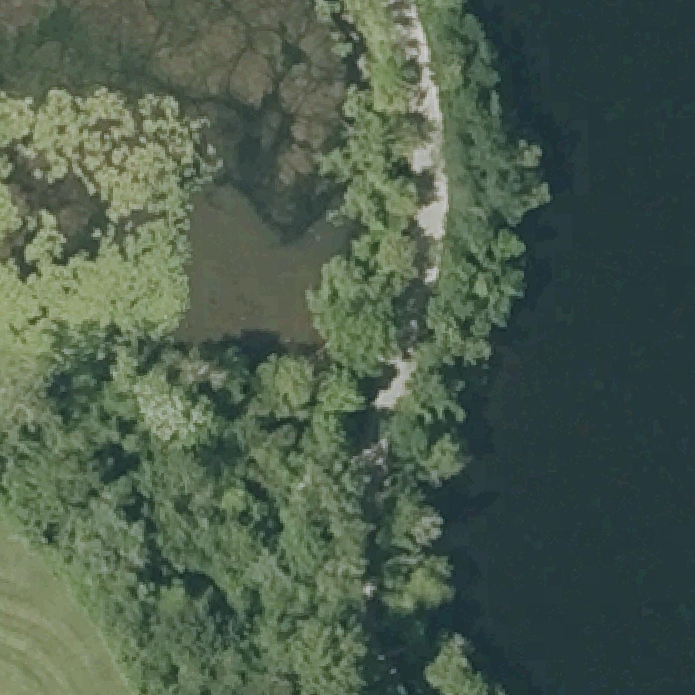 Aerial map of Little Fresh Pond Dog Beach