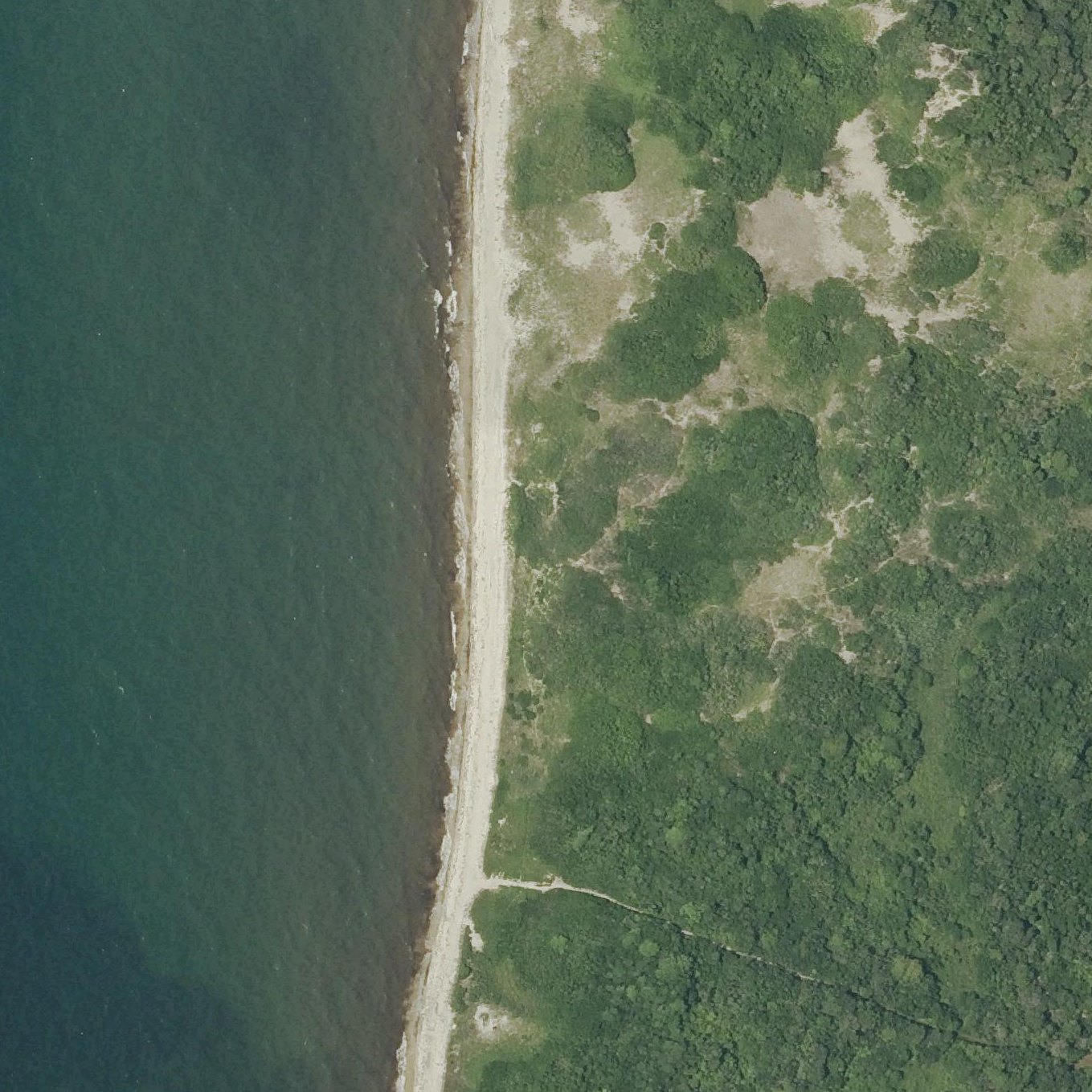 Aerial map of Logwood Cove