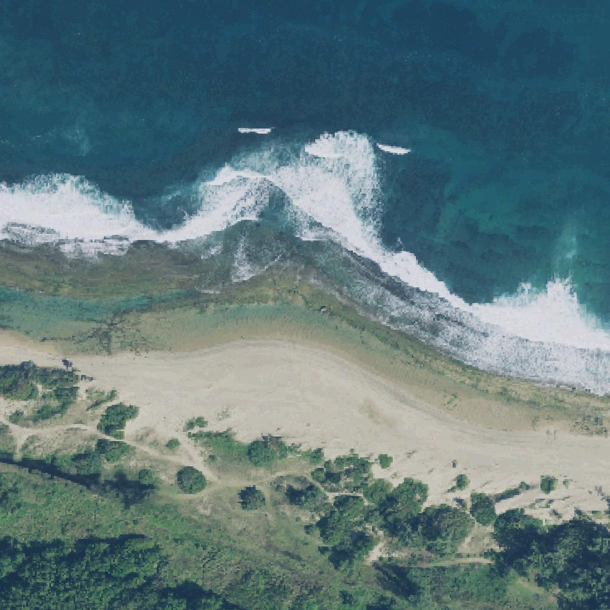 Aerial map of Los Pinos Beach
