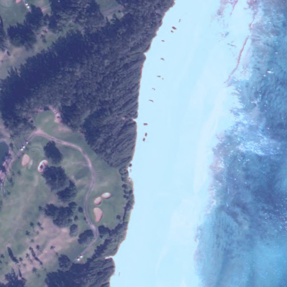 Aerial map of Lydgate Beach