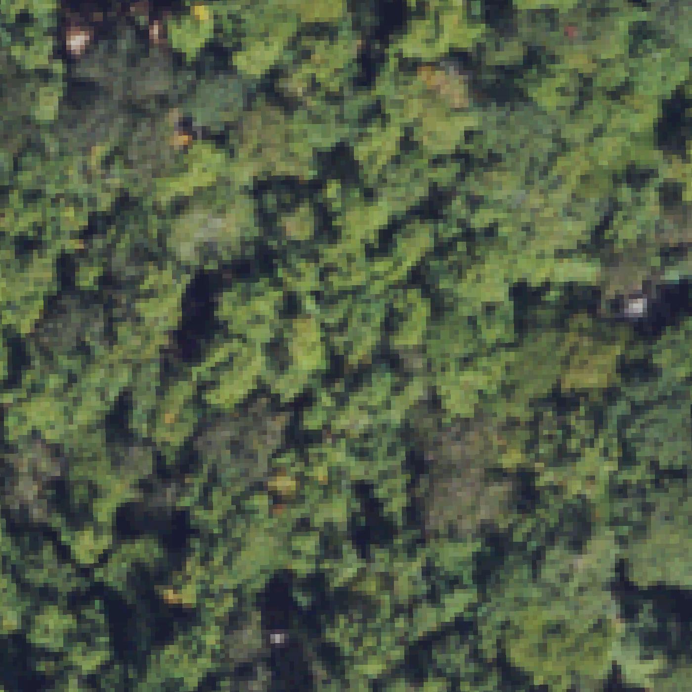 Aerial map of Moore Cove Falls