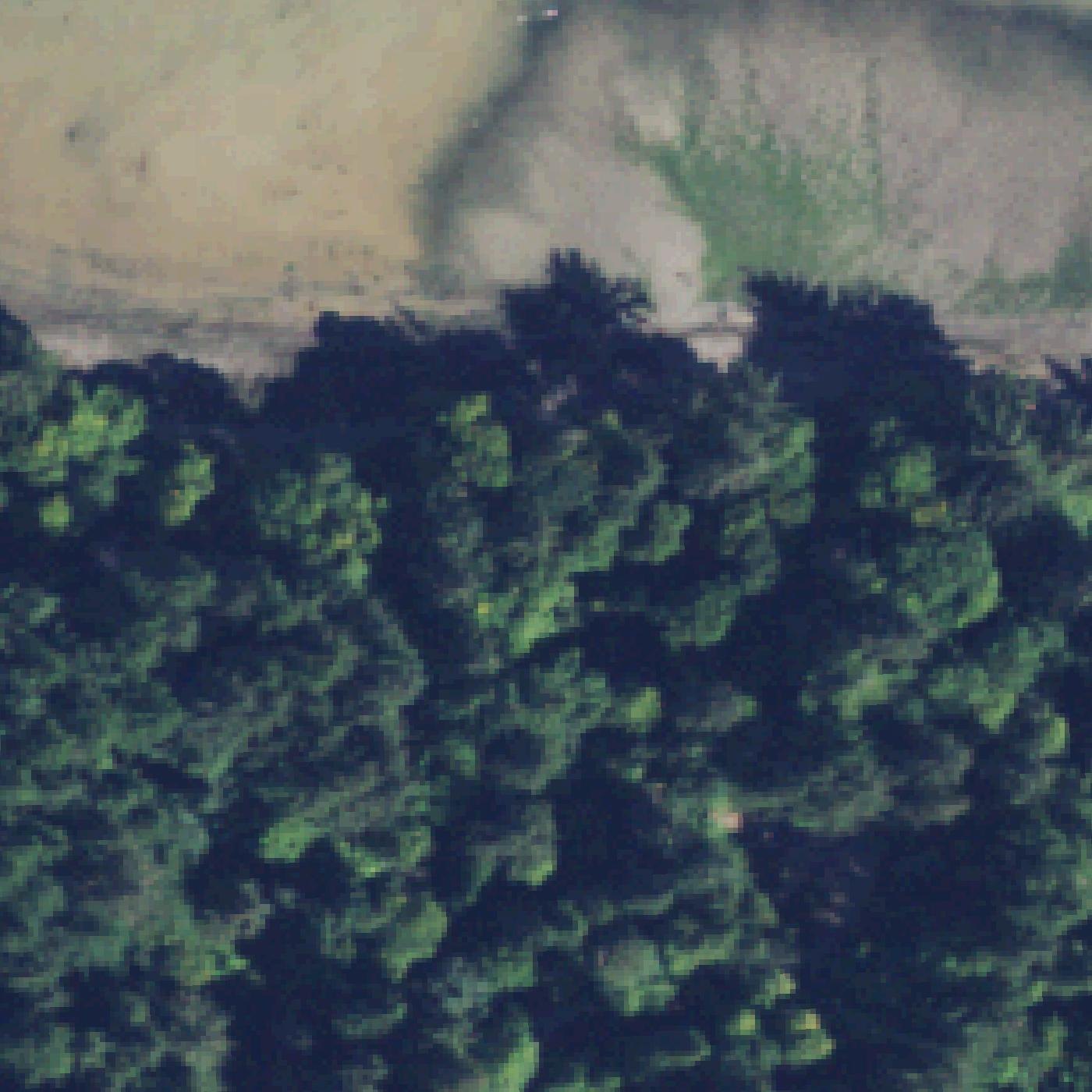 Aerial map of Murdock Beach Access